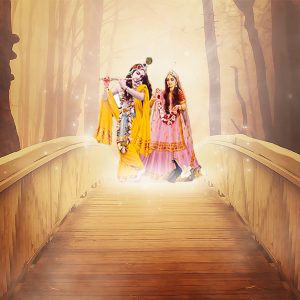 Srimad Bhagavatam – The Ultimate Spiritual Knowledge (Hindi, Audio) - Image 1