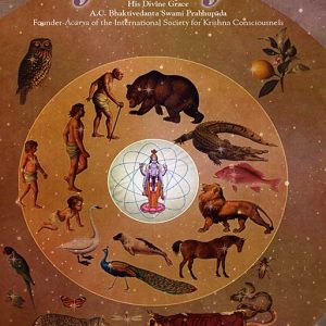 Life Comes From Life - Image 1