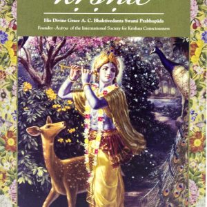 On the Way to Krishna - Image 1