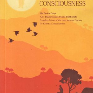 Elevation to Krishna Consciousness - Image 1